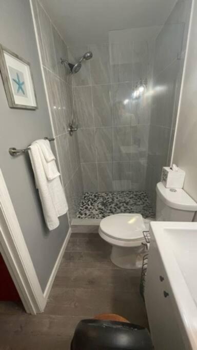 Lovely Studio Apartment With Kitchenette. Tampa Exteriér fotografie